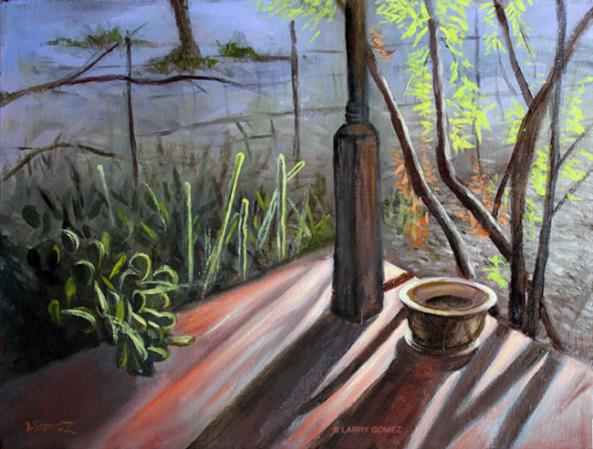 A late winter afternoon sun shining on a porch in the Tucson Arizona Iron Horse Neighborhood near Downtown. The scene shows a corner of a porch with a pot and cactus.